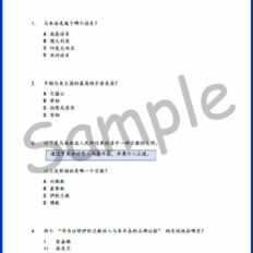 Std-5-Hot-Ques-His-Sample-Page