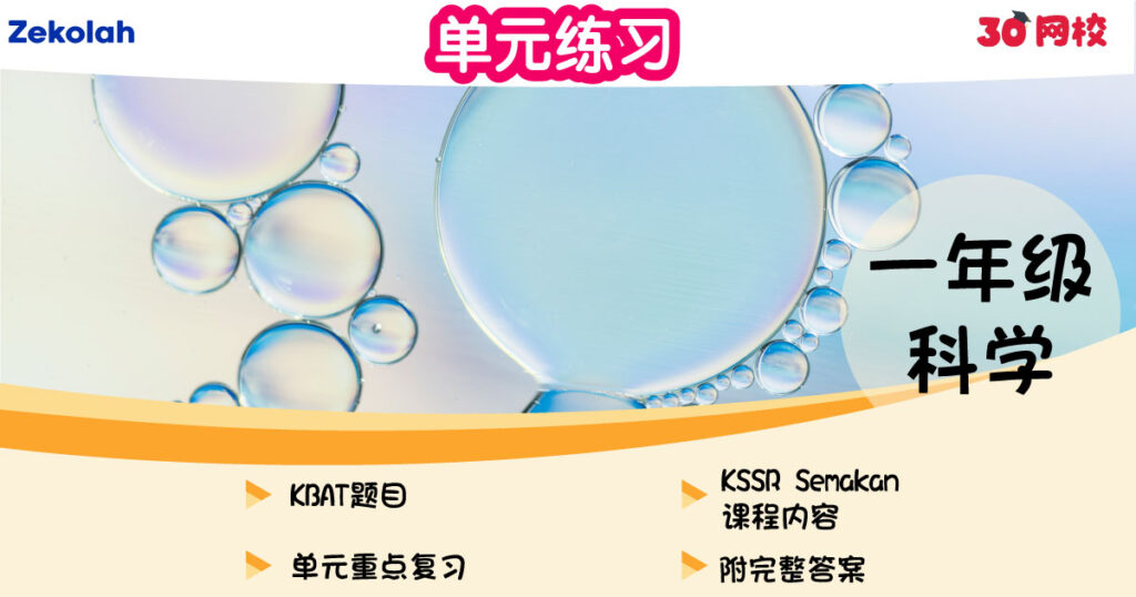 单元练习:华小科学(一年级)