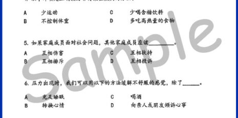 Std-4-PJK-Sample-Page-V1