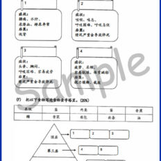 Std-4-PJK-Sample-Page-V2