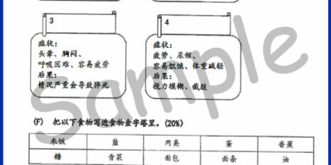 Std-4-PJK-Sample-Page-V2