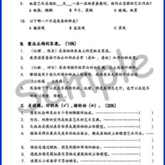 Std-4-PSV-Sample-Page-V1
