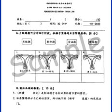 Std-5-PJK-Sample-Page-V1