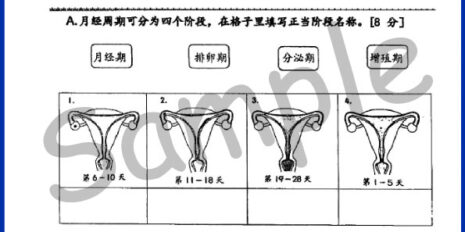 Std-5-PJK-Sample-Page-V1