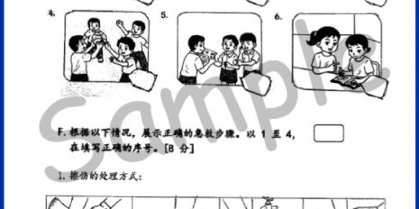 Std-5-PJK-Sample-Page-V2