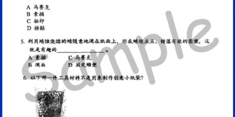 Std-5-PSV-Sample-Page-V1 Std-5-PSV-Sample-Page-V1