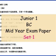 BC-Sample-Page-Jr-1-Mid-Year