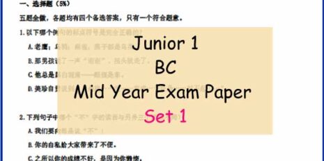 BC-Sample-Page-Jr-1-Mid-Year
