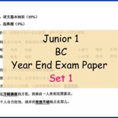 BC-Sample-Page-Jr-1-Year-End-
