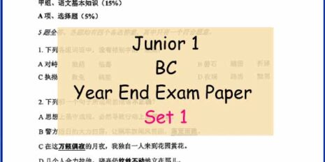 BC-Sample-Page-Jr-1-Year-End-
