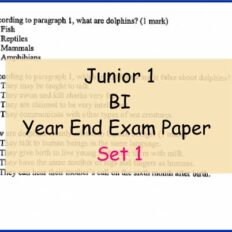 BI-Sample-Page-Jr-1-Year-End-