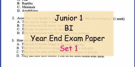 BI-Sample-Page-Jr-1-Year-End-