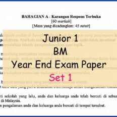 BM-Set-1-Sample-Page-Jr-1-Year-End-