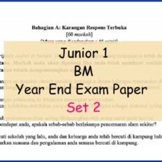 BM-Set-2-Sample-Page-Jr-1-Year-End-