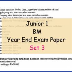 BM-Set-3-Sample-Page-Jr-1-Year-End-