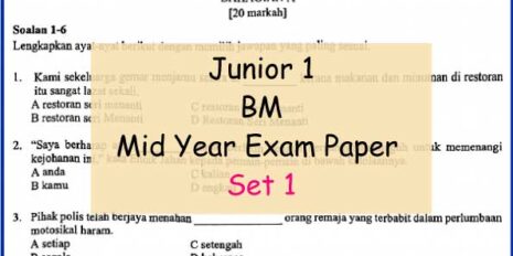 BM-set-1-Sample-Page-Jr-1-Mid-Year