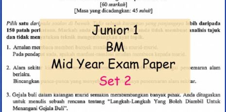 BM-set-2-Sample-Page-Jr-1-Mid-Year