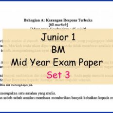 BM-set-3-Sample-Page-Jr-1-Mid-Year
