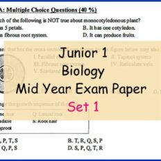 Bio-Sample-Page-Jr-1-Mid-Year