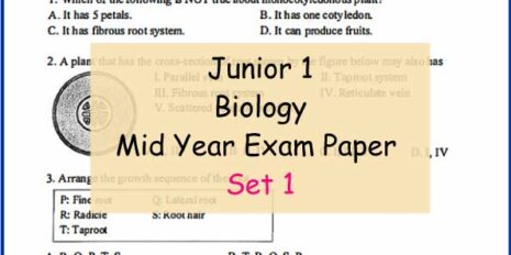 Bio-Sample-Page-Jr-1-Mid-Year