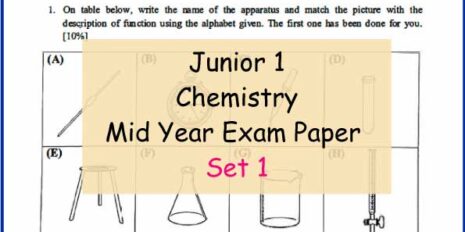 Chem-Sample-Page-Jr-1-Mid-Year