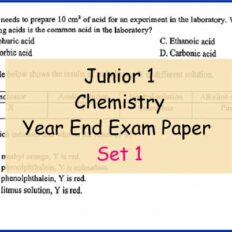 Chem-Sample-Page-Jr-1-Year-End-