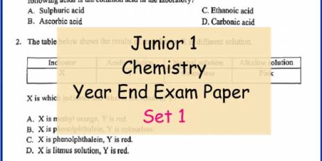 Chem-Sample-Page-Jr-1-Year-End-