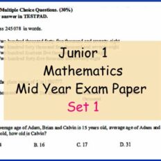 MM-Sample-Page-Jr-1-Mid-Year