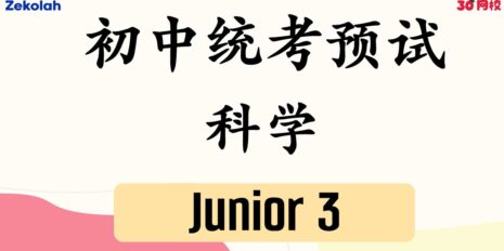 PYP-Jr-3-SC