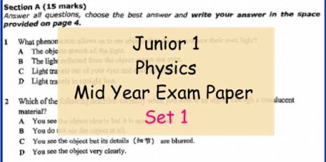 Physics-Sample-Page-Jr-1-Mid-Year