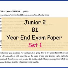 Sample-Page-Jr-2-BI-Year-End