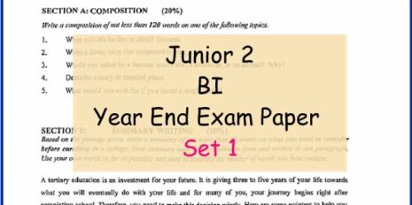 Sample-Page-Jr-2-BI-Year-End