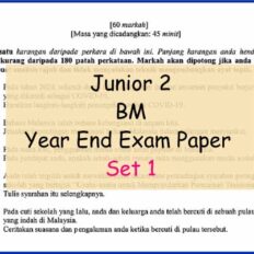 Sample-Page-Jr-2-Year-End-Bm-Set-1