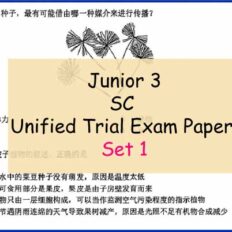 Sample-Page-Jr-3-SC