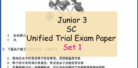 Sample-Page-Jr-3-SC