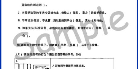 Std-3-Moral-Sample-Page-V2