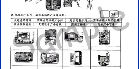 Std-6-PSV-Sample-Page-V1