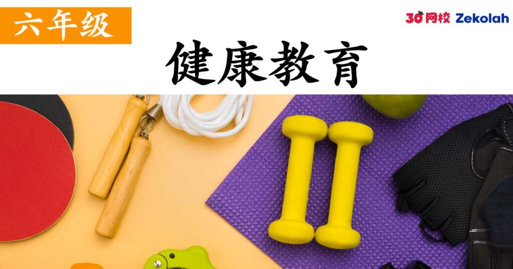 【历年考卷】六年级 体育与健康教育【SJK(C) Past Year Papers】 Standard 6 PJK