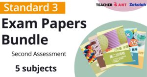 三年级第二次评审考卷配套（5合1） Standard 3 Second Assessment Papers (5-in-1)
