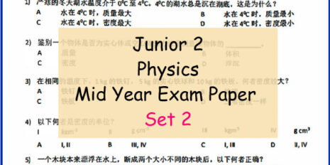 CIS-Jr-2-Mid-Year-Physics-Set-2
