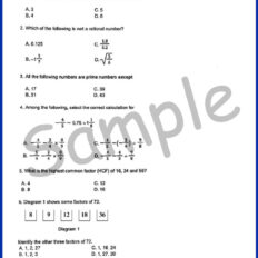 Form-1-MM-Sample-Page-V1