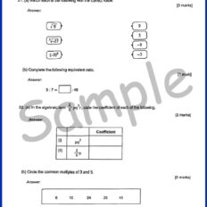 Form-1-MM-Sample-Page-V2