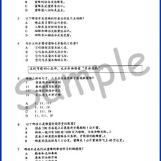 PYP-Mid-Year-Form-3-BC-V1