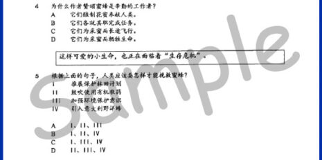 PYP-Mid-Year-Form-3-BC-V1