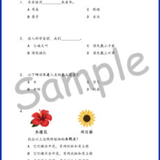 Std-1-FY-SC-Sample-V1