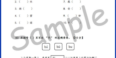 Std-2-FY-BC-Sample-V1