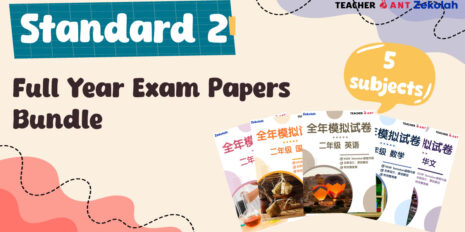 Std-2-Full-Year-Exam-Papers-Bundle