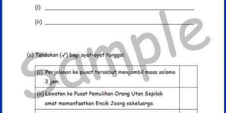 Std-3-FY-BM-Sample-V2