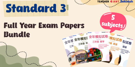 Std-3-Full-Year-Exam-Papers-Bundle