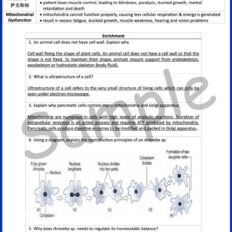 Sample-Page--Form-4-Bio-Notes-Gramm-V2